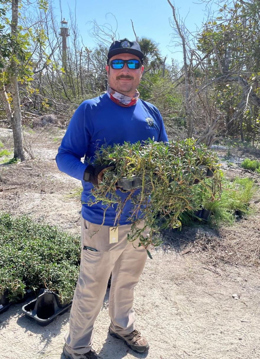 A team from the City of Sanibel Department of Natural Resources helped plant some of the approximately 29,000 plants of a variety of species that are being placed on Lighthouse Beach, strengthening the beach with their root systems.