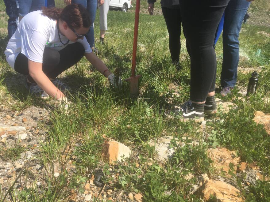 A Wise County Central high schooler plants a tree