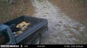 A trail cam recorded this truck with dead dogs going to a site in the Daniel Boone National Forest — then returning without them.