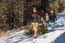 A group drags a Christmas tree out of the forest