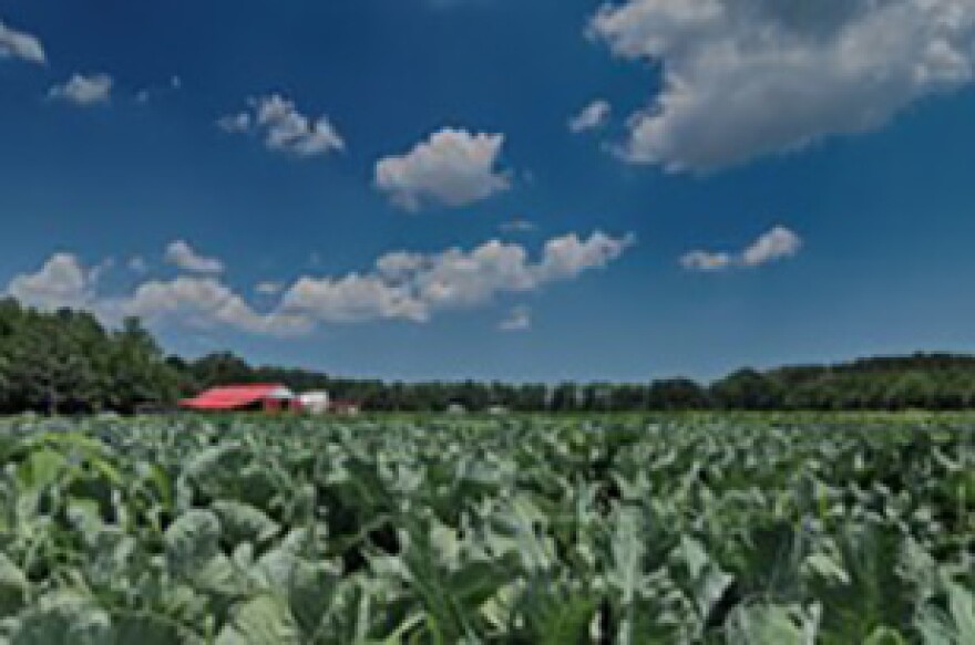 Photo taken by Blake McCluney