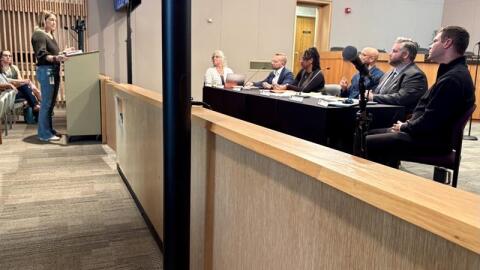 State Rep. Emily Dievendorf (D-Lansing) speaks to Lansing City Council members during a Committee on Equity, Diversity and Inclusion meeting on Oct. 8, 2025.