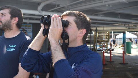 Zachary Hawn, conservation program coordinator for the Point Defiance Zoo and Aquarium, looks through his binoculars to see if purple martins are nearby. He is with his colleague, Sam Hain, at the Point Defiance Marina in Tacoma, where purple marin chicks have been spotted.