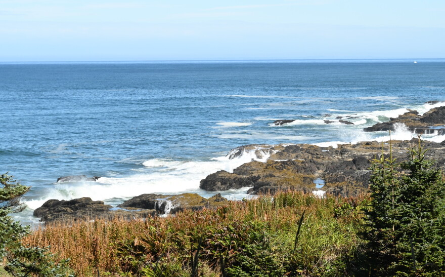 Rocky Shores as seen in early September, 2026.