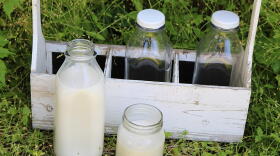 Fresh natural milk on a farm. Given the 2024 multistate outbreak of H5N1 influenza among U.S. dairy cows, federal authorities recommend against drinking unpasteurized (raw) milk.