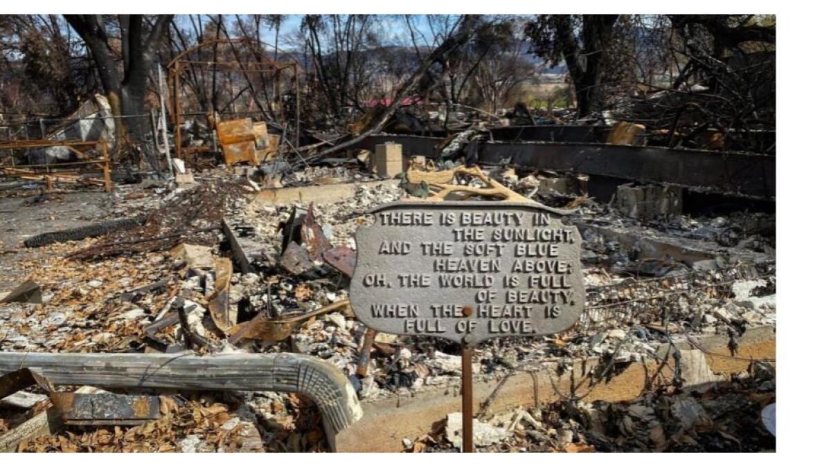 Wed 9 AM | After a drubbing at the polls, Talent considers other ideas for speeding up post-fire rebuilding - Vimarsana News