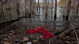 Former KANZ-FM Program Director (1981-84), North Carolina artist Susan Harbage Page’s eleven year U.S.–Mexico Border Project includes the Anti-Archive—over 867 objects, 30,000 photographic images and over 15 site-specific actions and interventions in the Rio Grande Valley, Texas. https://susanharbagepage.com/u-s-mexico-border-project/ 