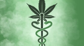 The timetable imposed by Amendment 2 will likely give the state close to a year before pot in its various forms will be legally available for patients.