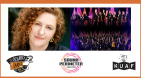 Credit, Tamara-Anna Cislowska, RTE Concert Orchestra