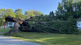 A fallen tree in Sullivan County after the weekend thunderstorm.