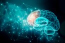 This stock image depicts human brain activity.