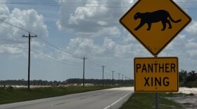 Panther crossing signage along Corkscrew Road in eastern Lee County near the Kingston development.