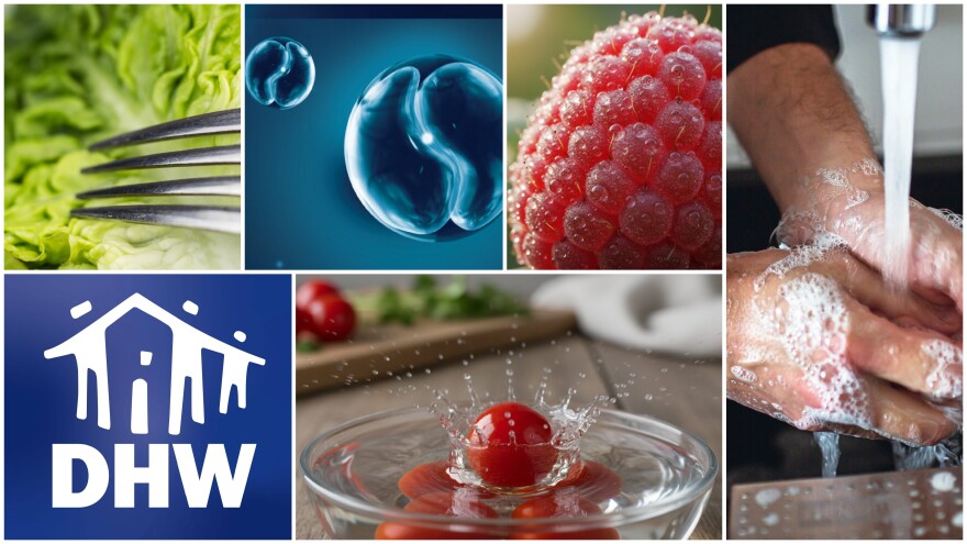 A large number of cases of intestinal illness that causes diarrhea, nausea and fatigue have been detected in the majority of U.S. states.