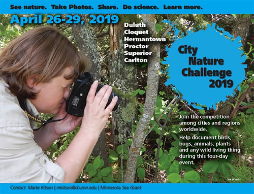 City Nature Challenge