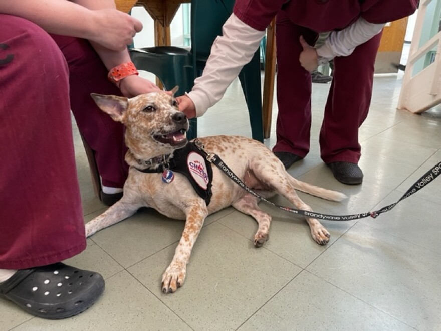 Inmates at Baylor Women's Correctional Institution enjoy a visit from Stella.