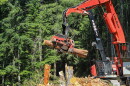 A harvester crane processes a log on a thinning project in the Mount Baker-Snoqualmie National Forest. The project was led by the Washington State Department of Natural Resources, the result of growing efforts by state agencies to conduct work on federal land. President Donald Trump’s plans to increase logging on federal lands will depend heavily on states’ cooperation, experts say
