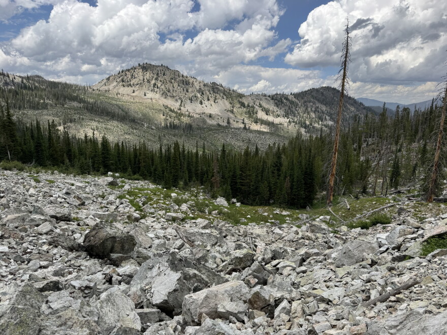 A rock field leads down to a forested hillside with mountains in the background.