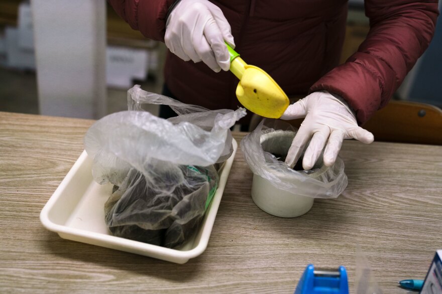 Tomoko measures soil into a container that will go through a donated gamma counter, a big cylindrical machine that measures radioactive particles.