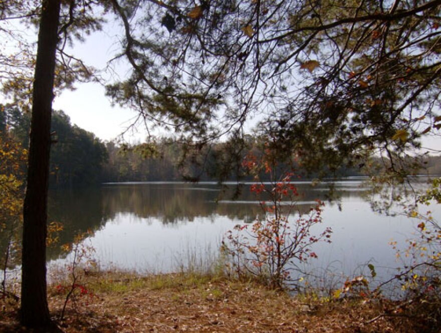 A cove on High Rock Lake.