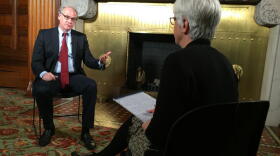 Governor Cuomo's Empire State Development Chair Howard Zemsky speaks to WXXI's Karen DeWitt