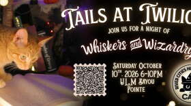 A poster of the Tails at Twilight fundraiser, with a picture of a cat on the left side.