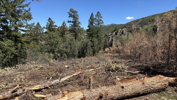 A containment line on the Gold Mountain Fire stopped the blaze from spreading. The fire burned the vegetation on the right but did not cross the line. Crews are now repairing areas disturbed during construction of the containment line.