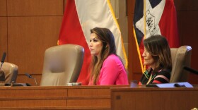 District 7 Councilwoman Marina Alderete Gavito during a city council public comment session.