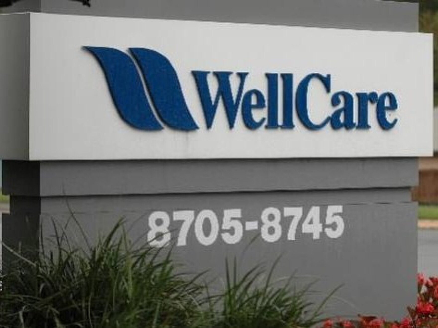 Insurance Regulators Back TampaBased WellcareCentene