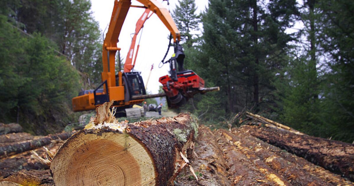Stories Of Southern Oregon Watching The Timber Industry Transform