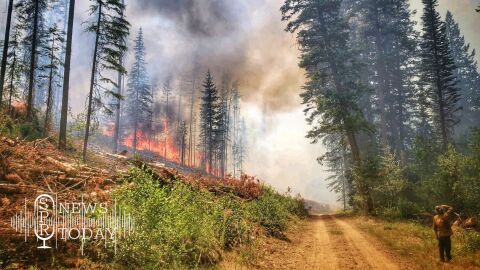 Summit Trail Fire in Colville National Forest