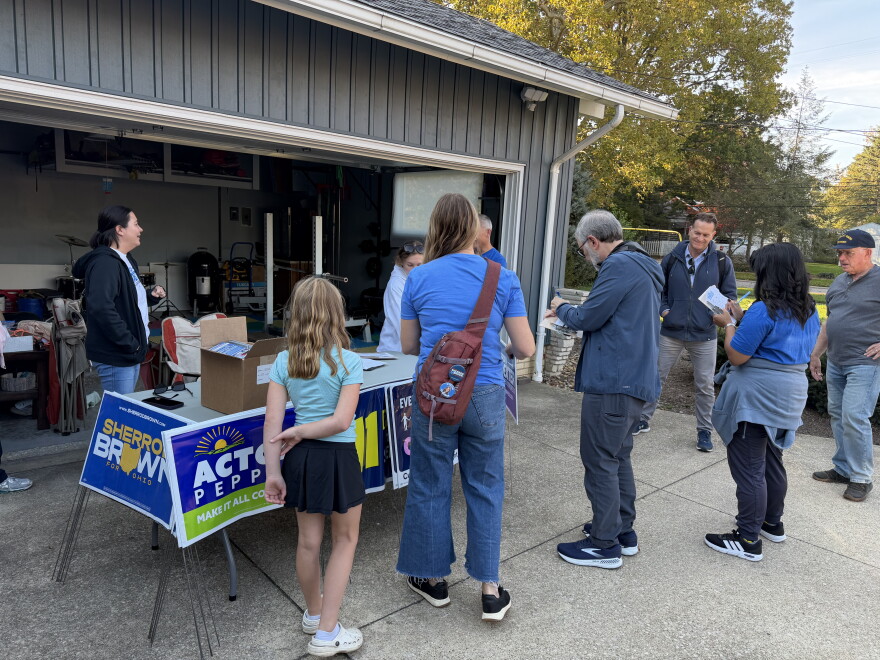 A group of volunteers meet at a member of Grassroots Resistance's home ahead of a canvass in support of a few Democrat candidates and the Get out the Vote campaign.
