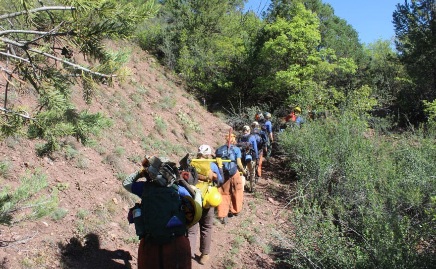 La cuadrilla sube a pie hasta su zona de trabajo, por un sendero que ellos mismos cortaron durante los primeros días del proyecto.