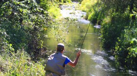 A man goes fly fishing.