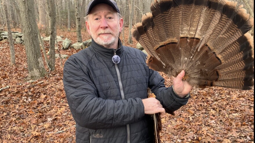 URI Professor Scott McWilliams is the lead researcher on the new five year study of wild turkeys in Rhode Island