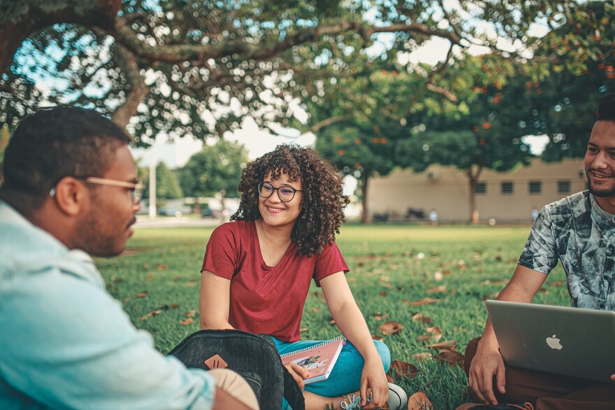 College students study on campus