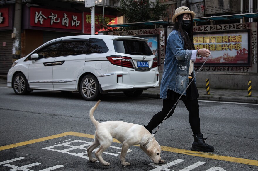 A resident walks a dog.
