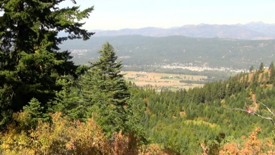 Land managers hope that this restoration work will help prevent towns like Cle Elum from suffering the same fate that Paradise, California, did last year. CREDIT: Courtney Flatt/NWPB