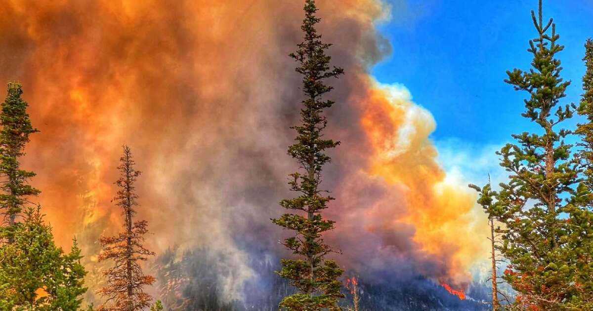 Daily news: Wildfires continue to burn throughout Utah with varying effects