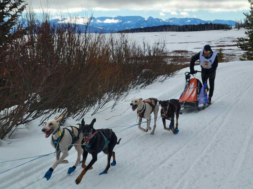 A sled dog racer stands behind his sled, while his dogs run along a snowy track, with mountains in the distance. 