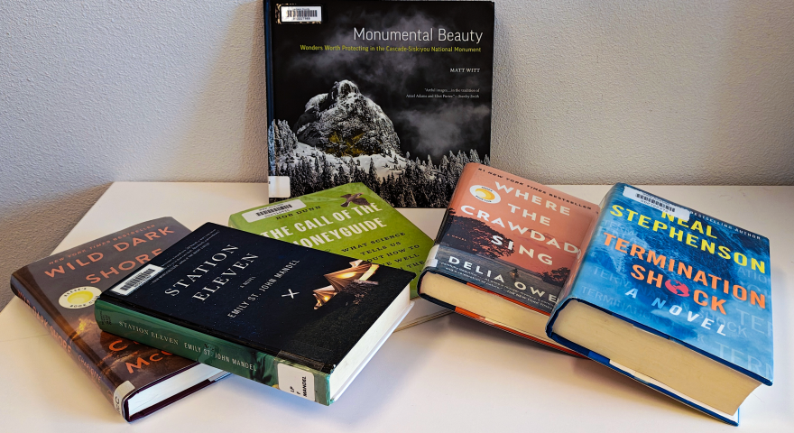 Books arranged on a plain background, representing a mix of fiction and nonfiction titles.