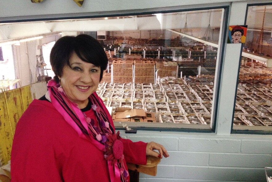 Yolanda Soto runs Borderlands Food Bank in Nogales, Ariz. Each year, the nonprofit rescues millions of pounds of nutritious and safe fruits and vegetables rejected near the U.S. border and redirects them to needy families across America.