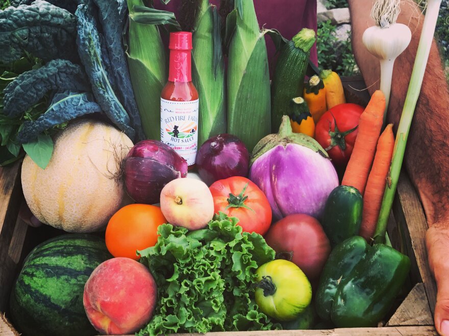 An example of summer produce from the organic CSA Red Fire Farm in the Connecticut River Valley outside of Amherst, Mass.