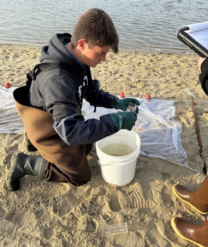 A student wearing waders on a beach holding a small clear plastic box over a five gallon bucket