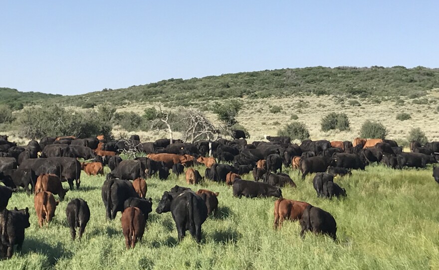  LeValley Ranch