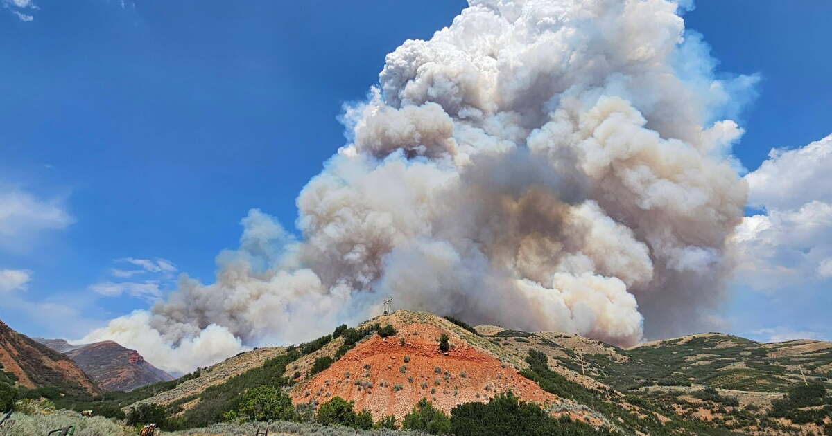 Utah tops 1K wildfires; human-caused fires decline