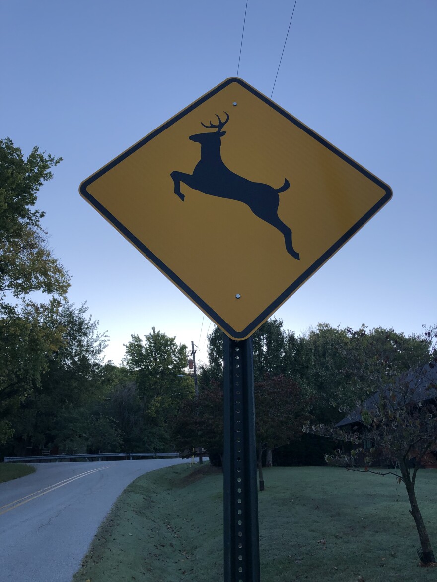 Special traffic signs on certain streets warns drivers to keep watch for bounding deer.