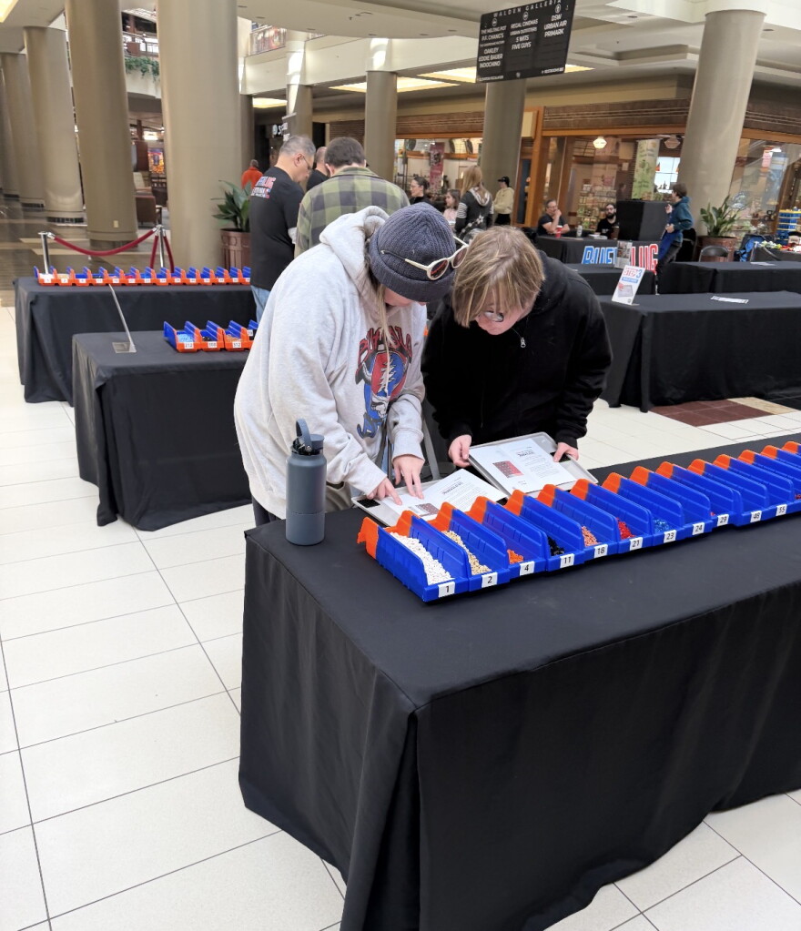 WNY community comes out to build new Bills Lego display