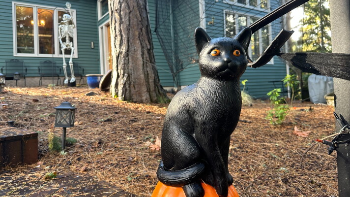 Halloween decorations in front of a Eugene house, October 2026.