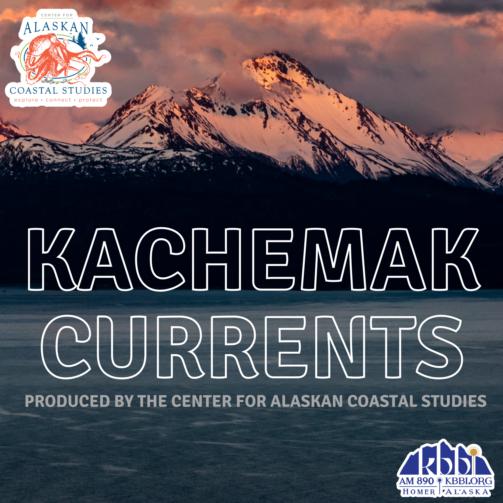 Kachemak Currents cover