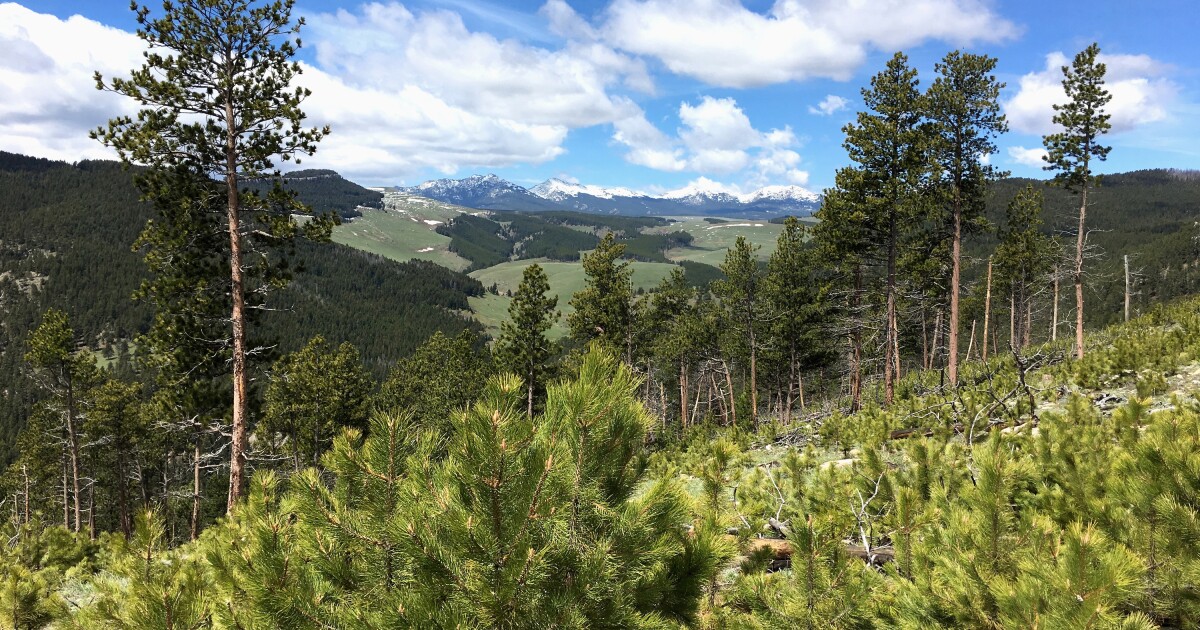BLM proposes rule to allow land leasing for conservation Boise State